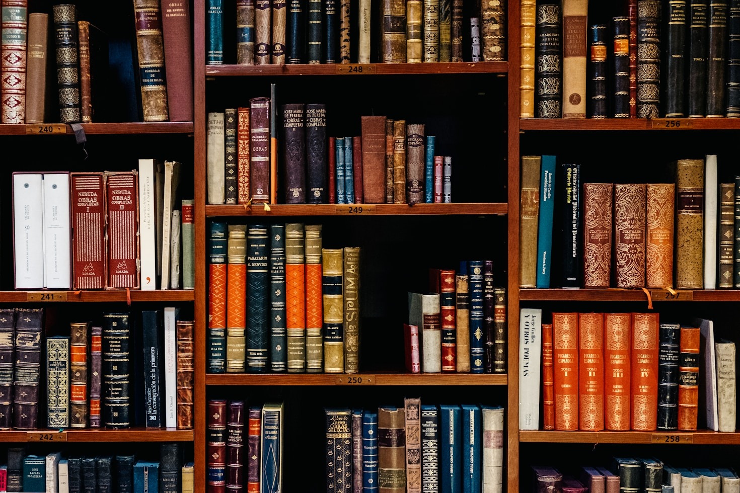 Lettura e introspezione: un legame profondo